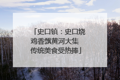 史口镇：史口烧鸡香飘黄河大集 传统美食受热捧